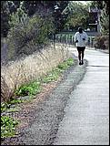 LosGatosTrail07-152c.jpg