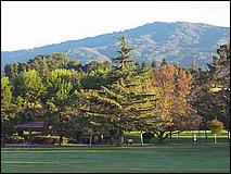 OakMeadow07-063c.jpg