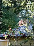 OakMeadow07-099c.jpg