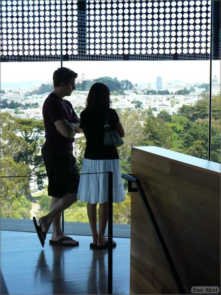 deYoungMuseum_views-10b.jpg - for personal use