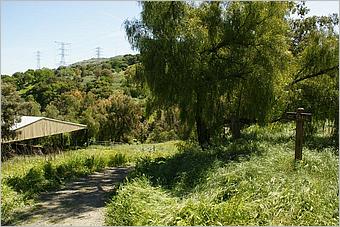 BernalRanch_SantaTeresaCP-145b.jpg