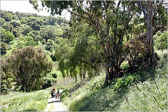 BernalRanch_SantaTeresaCP-157c.jpg