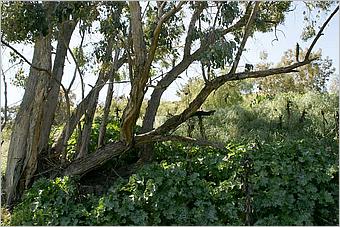 BernalRanch_SantaTeresaCP-165c.jpg