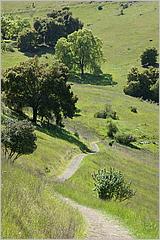 BernalRanch_SantaTeresaCP-218c.jpg