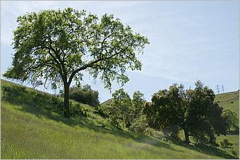 BernalRanch_SantaTeresaCP-223c.jpg