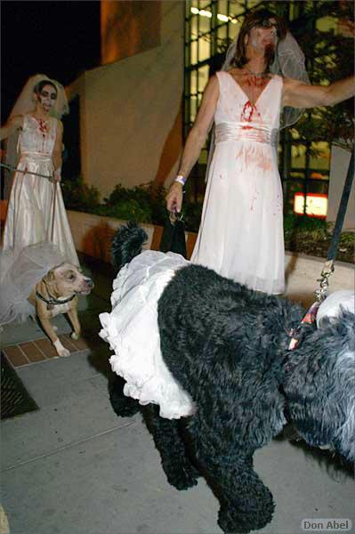 Howling_Halloween08-032e.jpg - for personal use