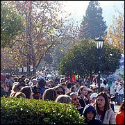 LosGatosChristmasParade2024-252b1.jpg