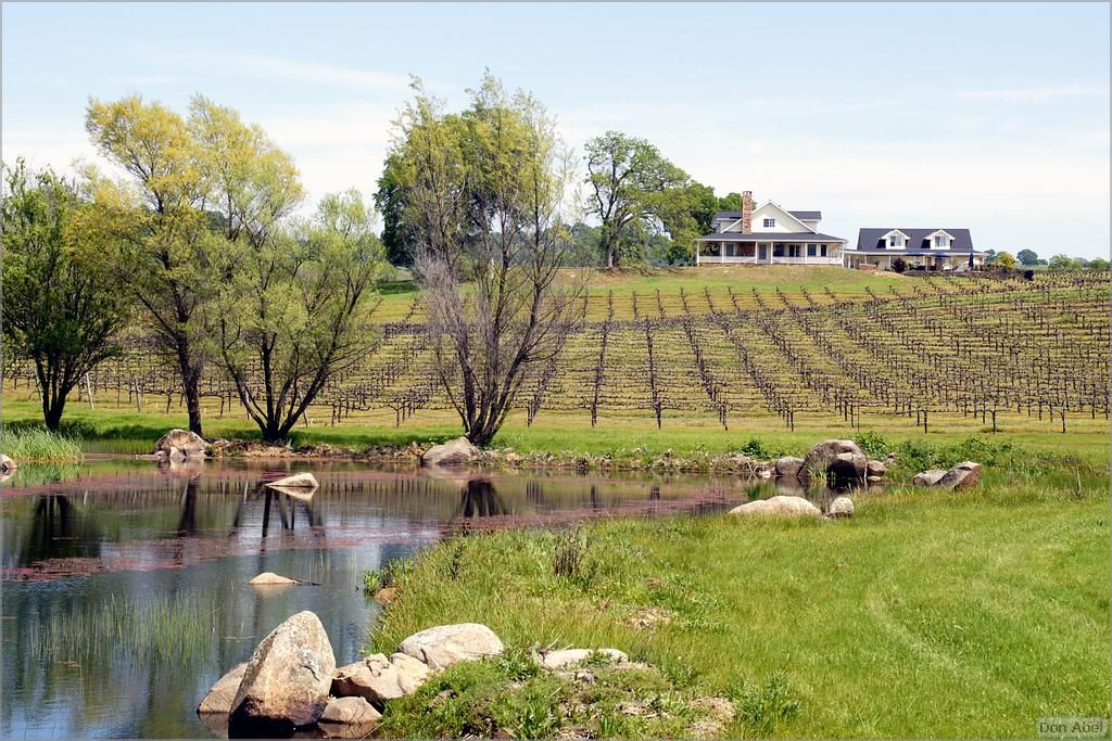 GoldCountry10-115a-ShenandoahRdWineries-web.jpg - for personal use only