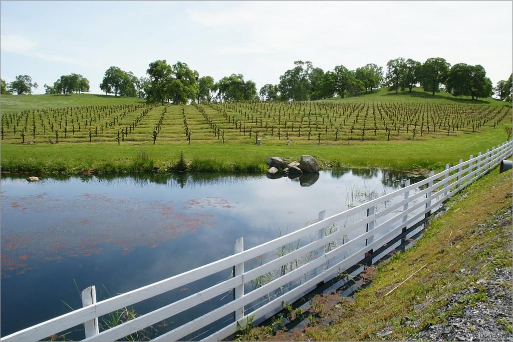 GoldCountry10-134-ShenandoahRdWineries-web.jpg - for personal use only