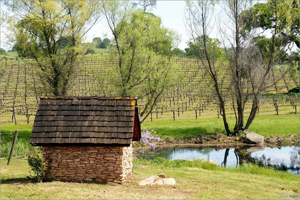 GoldCountry10-136a-ShenandoahRdWineries-web.jpg - for personal use only