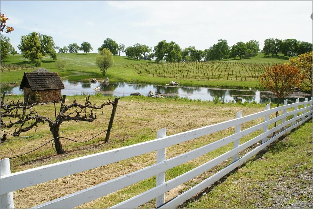 GoldCountry10-140-ShenandoahRdWineries-web.jpg - for personal use only