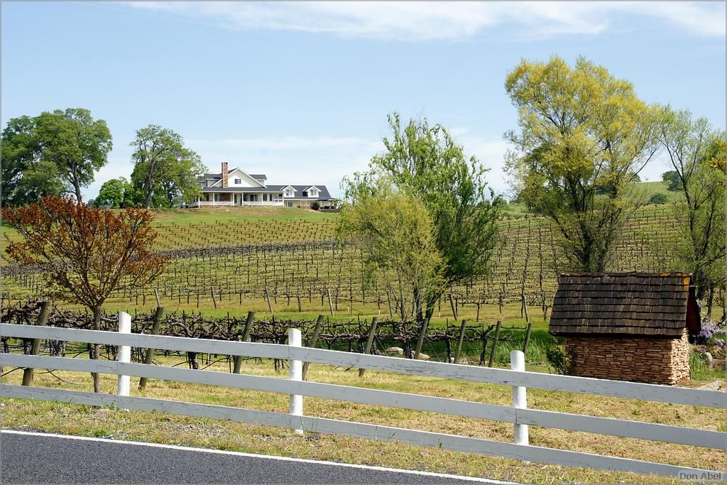 GoldCountry10-142a-ShenandoahRdWineries-web.jpg - for personal use only