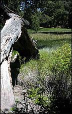 YAC06-PicchettiRanch-070b.jpg