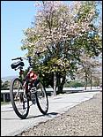 Bike-AlamedaCreekTrail09-263c.jpg