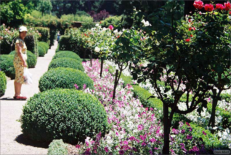 Filoli-JUN06-45b.jpg