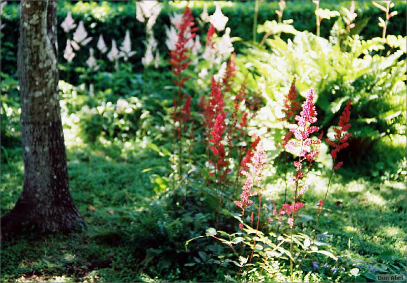 Filoli-JUN06-48b.jpg