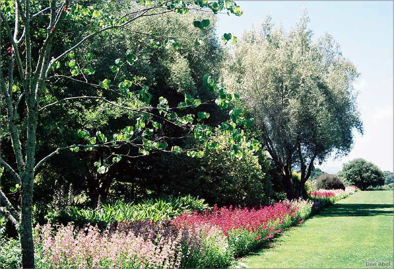 Filoli-JUN06-55b.jpg