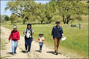 Wildflowers-GrantCP_APR09-198c.jpg