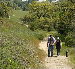 Wildflowers-GrantCP_APR09-329d.jpg