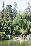 JapaneseFriendshipGarden08-065b.jpg