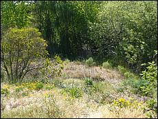 LosGatosTrail08-102b.jpg