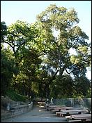 OakMeadow08-009b.jpg