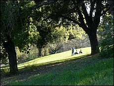 Vasona08-020b.jpg