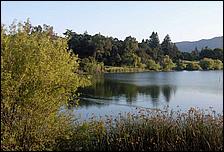 Vasona06-190b.jpg