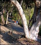 Vasona06-204b.jpg