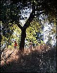 Vasona06-272b.jpg