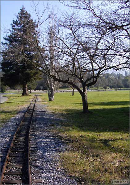 OakMeadow06-3trees-tracks-076b.jpg - for personal use only