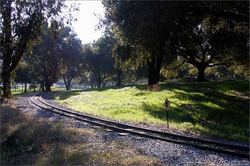 OakMeadow06-tracks-069b.jpg - for personal use only