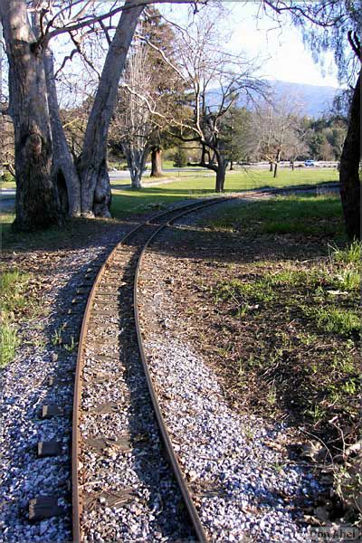 OakMeadow06-tracks-127b.jpg - for personal use only