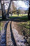 OakMeadow06-tracks-127b.jpg