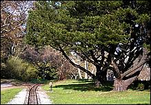 OakMeadow06-tracks-224b.jpg