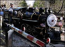 OakMeadow06-trainbr-181b.jpg