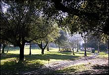 OakMeadow06-traind-104b.jpg