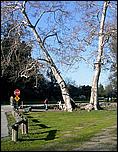 Vasona06-042b.jpg