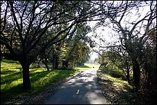 Vasona06-059b.jpg