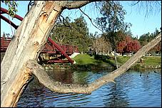 Vasona06-bridge-002c.jpg