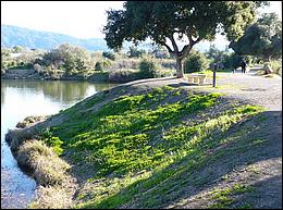 LosGatosTrail09-096c.jpg