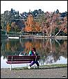 Vasona-073b.jpg