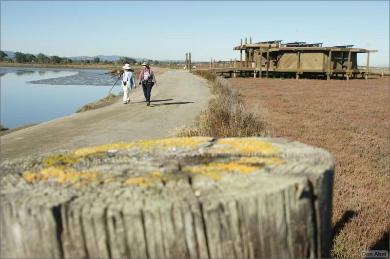 PaloAltoBaylands08-106b.jpg - for personal use