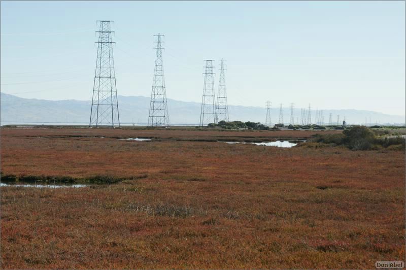 PaloAltoBaylands08-119b.jpg - for personal use