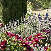 PrevostRanch-Gardens-137c3-web.jpg