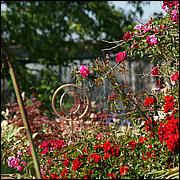 PrevostRanch-Gardens-142-web.jpg