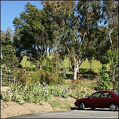 PrevostRanch-Gardens-147a-web.jpg