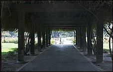 SJRoseGarden08-01c.jpg