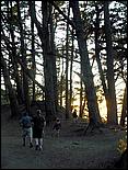 SFfromMarinHeadlands-38c.jpg