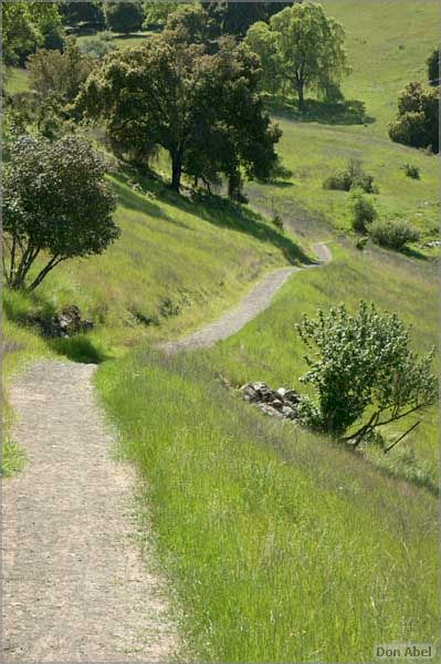 BernalRanch_SantaTeresaCP-219c.jpg - for personal use